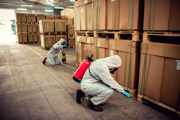 Best Rat Extermination Near Me  in Rio Linda, CA