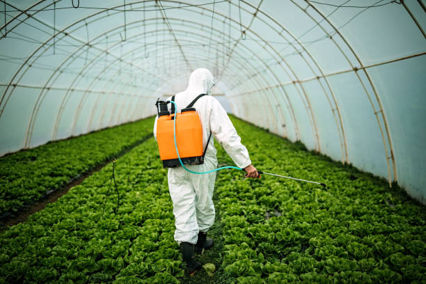 Best Pest Inspection Near Me  in Rio Linda, CA
