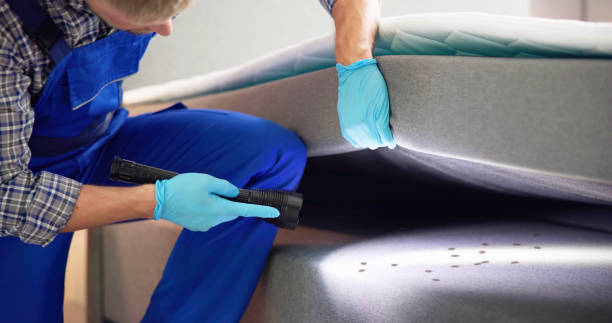 Best Residential Pest Control  in Rio Linda, CA