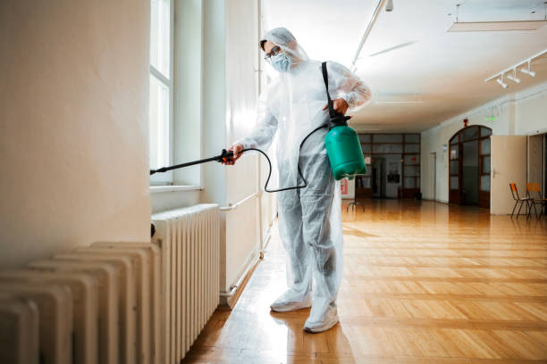 Best Affordable Pest Control Services  in Rio Linda, CA