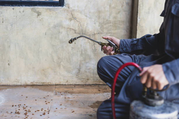 Professional Pest Control in Rio Linda, CA