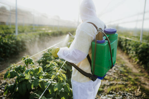 Best Commercial Pest Control Services  in Rio Linda, CA